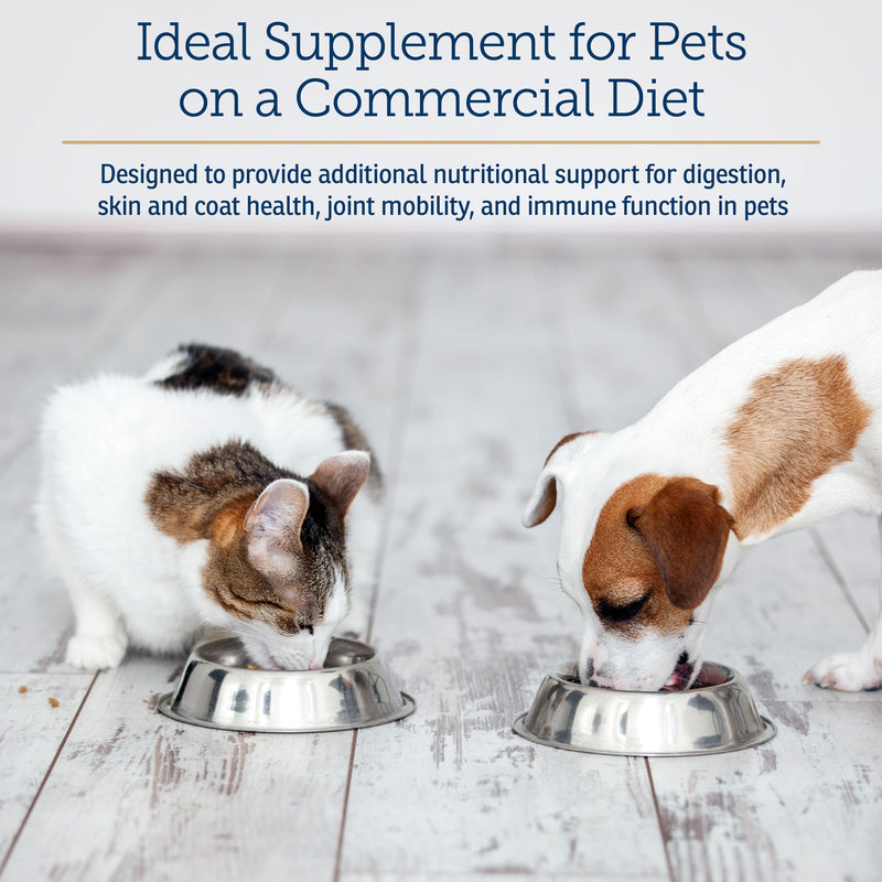 Rx Vitamins Nutritional Support - A Combination of Essential Vitamins, Minerals, & Other Beneficial Compounds for Dogs and Cats - 9.07oz New Label