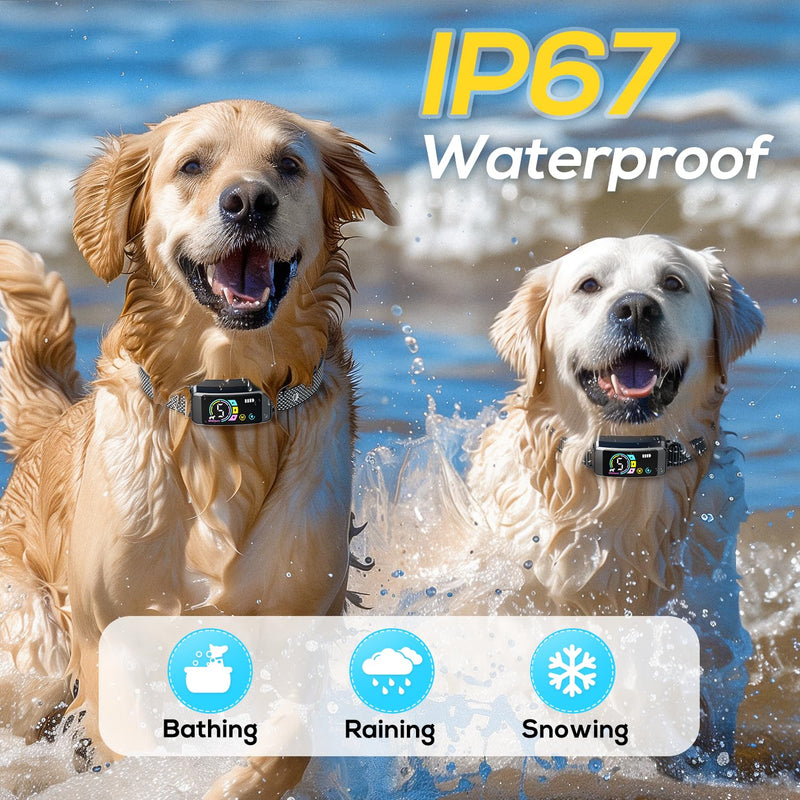 Bark Collar 2 Pack, Dog Bark Collar for Large Medium Small Dogs, Rechargeable Anti Barking Training Collar with Beep Vibration Harmless Shock, Smart Collar with 5 Adjustable Sensitivity Black - BeesActive Australia