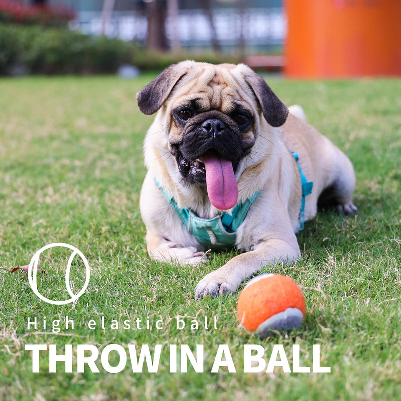PAWISE Dog Ball Launcher, Dog Fetch Toy,12.2'' Dog Ball Thrower with 2.3'' Ball 1-pack - BeesActive Australia