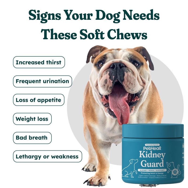 PetHeal Kidney Guard Chews for Dogs - Vet-Reviewed - Supports Renal Health & Energy with Astragalus, Cordyceps, Dong Quai & Rehmannia | Promotes Kidney Function & Detox | 30 Soft Chews, Pork Flavor