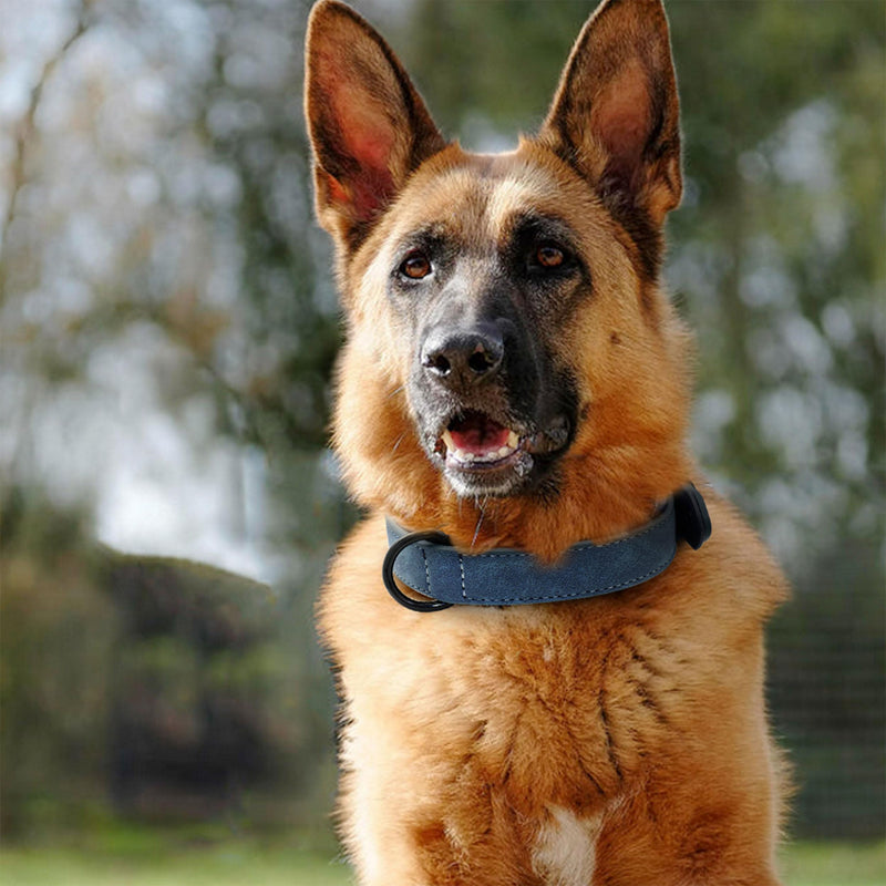 Didog Soft Padded Leather Dog Collar, Breathable Heavy Duty Dog Collar Leather with Adjustable Rust-Proof Metal Buckle for Small Medium Large Dogs, Blue, XL XL: Fit Neck 17-21"(44-71 lbs) - BeesActive Australia
