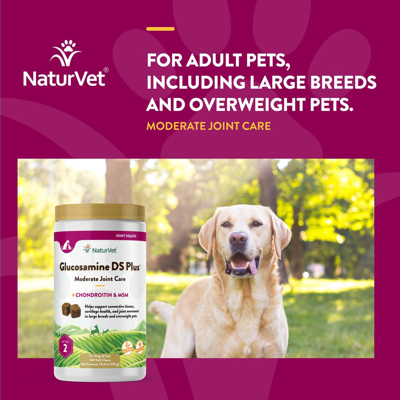 NaturVet – Glucosamine DS Plus - Level 2 Moderate Care – Supports Healthy Hip & Joint Function – Enhanced with Glucosamine, MSM & Chondroitin – for Dogs & Cats – 240 Soft Chews Glucosamine-DS Level 2 - BeesActive Australia