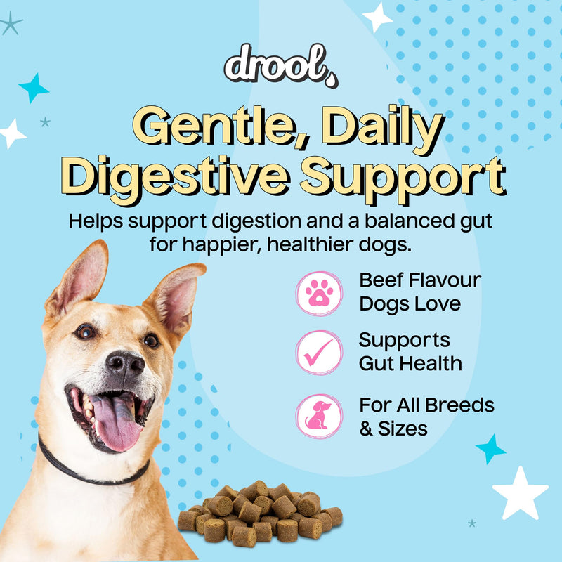 Drool Pet Products | Digestive Supplements for Dogs | Probiotics & Fibre for Dogs Gut Health | Natural Dog Digestive Supplements with Biotics for Stomach Relief | 180g (60 Chews) Beef Digestion