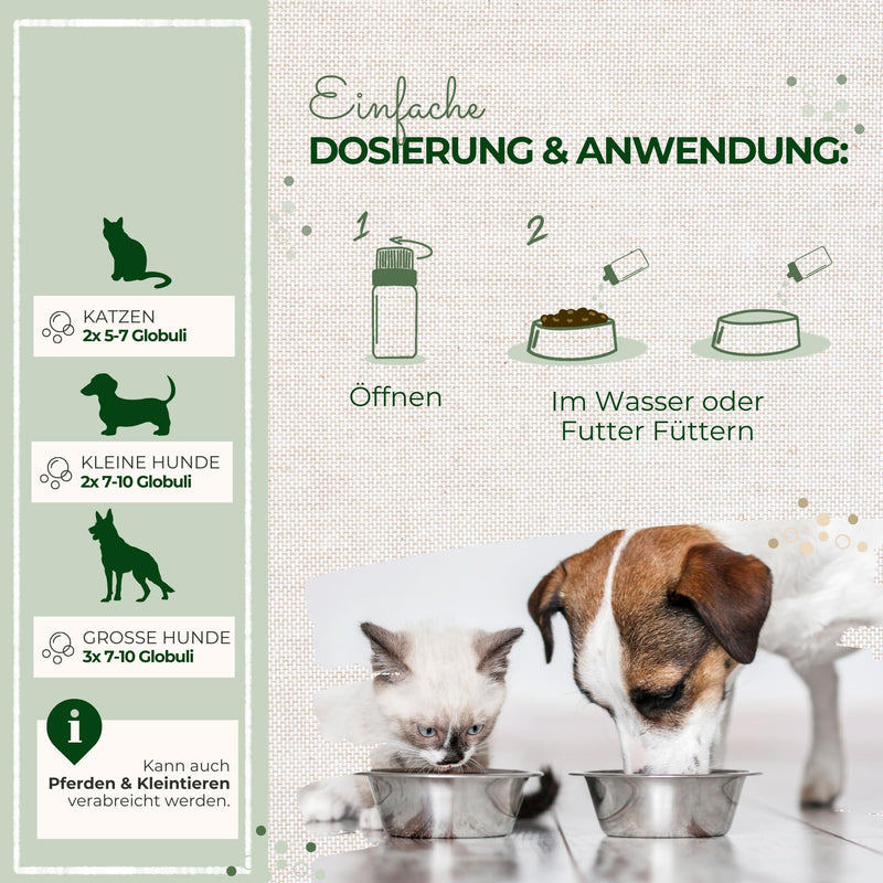 LaPura Bach Flowers No. 1 for dogs and cats, for gentle calming in the event of noise, restlessness, fear, travel, being alone, thunderstorms, New Year's Eve, globules 10 g - BeesActive Australia