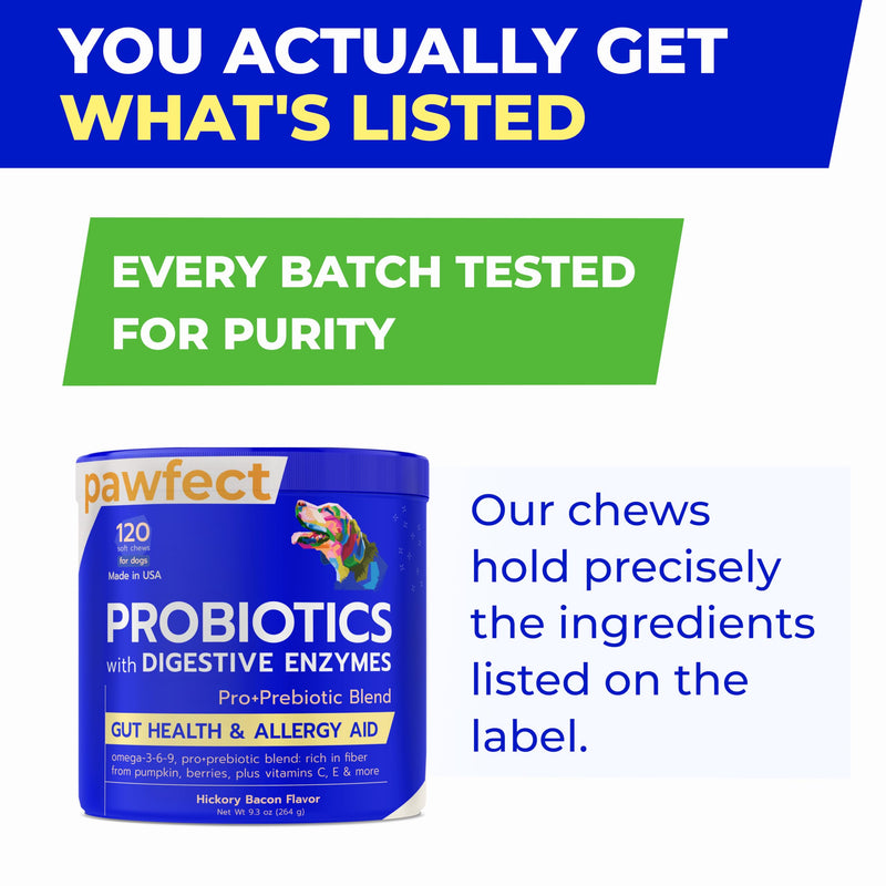 Vet Approved Probiotics & Digestive Enzymes for Dogs | Gut Health & Digestive Function Support | Pumpkin & Omega | Diarrhea, Seasonal Allergies & Itching | Prebiotic Supplement Chews Probiotics & Enzymes 120 Digestive Chews - BeesActive Australia