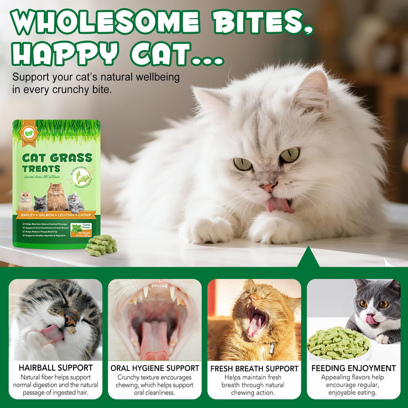 Cat Grass Treats,Cat Treats for Indoor Hairball Control,Delicious Kitten Grass Teething Stick for Hairball Remove and Teeth Cleaning,Catnip Flavour