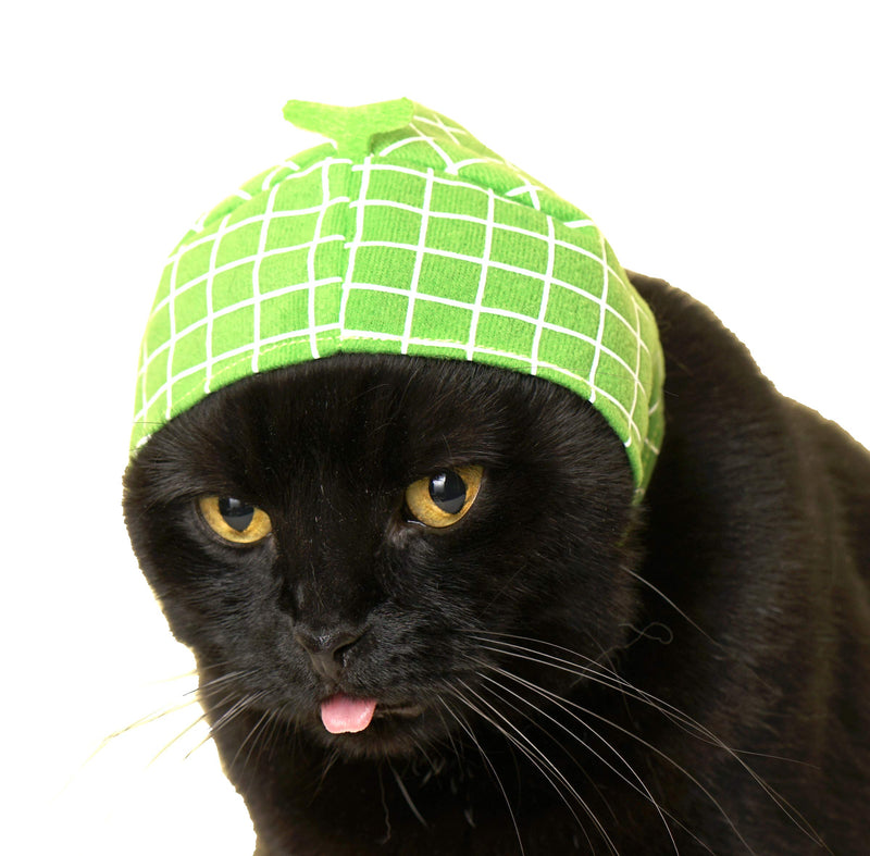 Kitan Club Cat Cap - Pet Hat Blind Box Includes 1 of 6 Cute Styles - Soft, Comfortable - Authentic Japanese Kawaii Design - Animal-Safe Materials, Premium Quality (Fruit) - BeesActive Australia