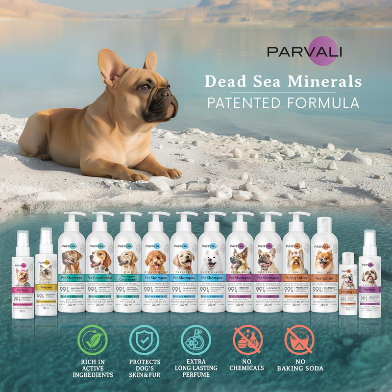 Natural Dead Sea Mud Bath Dog Shampoo (250 ml, 8.45 fl oz). A purifying Anti-Itching Gentle Skin and Coat Care Formula. Minerals Rich, Long-Lasting Perfume, Easy Application. Enjoy! Extra Mud Shampoo - BeesActive Australia