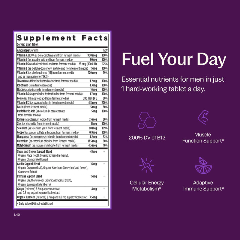 New Chapter Men's One Daily Multivitamin, 48 Tablets | With B6, Extra B12, D3, Vitamin C, and Zinc for Immune, Heart, Cellular Energy, and Brain Health, Non-GMO and Gluten Free 48 Count (Pack of 1)