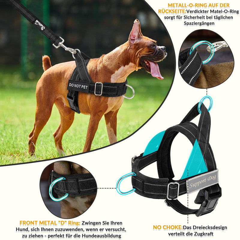 Eyein Dog Harness with Leash for Large Medium Dogs, Adjustable Anti-Pull Chest Harness with Soft Padding, Reflective Harness with Front Clip for Walking and Training, Black, L - BeesActive Australia