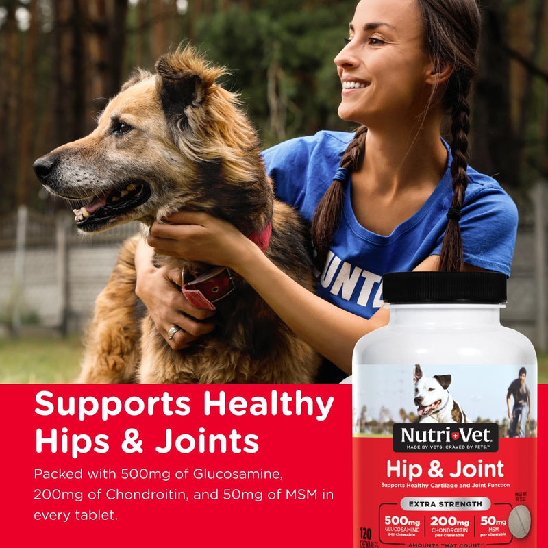 Nutri-Vet Extra Strength Hip & Joint Supplement for Dogs, Puppy Supplements, Dog Joint Supplement, Contains 500mg of Glucosamine, 200mg of Chondroitin, 50mg of MSM, Puppy Essentials, 120 Tablets 120 Count