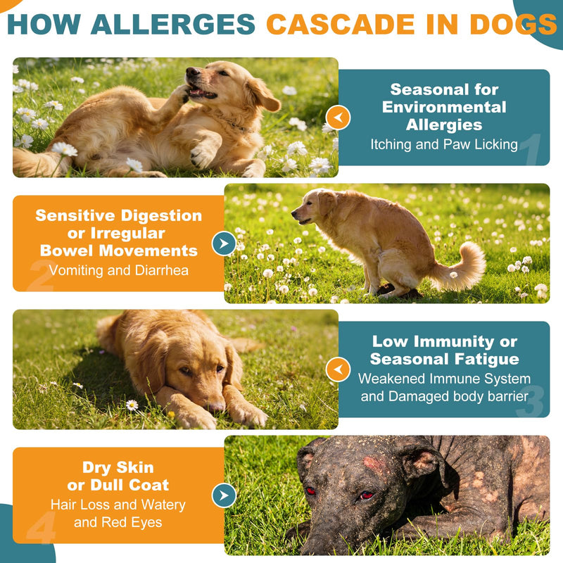 Dog Allergy Chews, Allergy Immune Bites for Dogs, Itching Skin Relief, Itchy Ears, Anti Itch, Paw Licking Treatment, Seasonal Allergies, Dog Probiotics for Digestive Health & Gut Health, 180 Chews