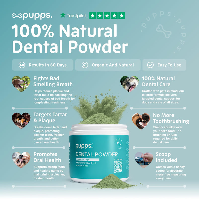 Pupps Dental Powder for Dogs 90g – Plaque & Tartar Support | Freshens Breath Naturally | Toothpaste & Toothbrush Alternative | Just Sprinkle on Food | Vet Approved, UK Made