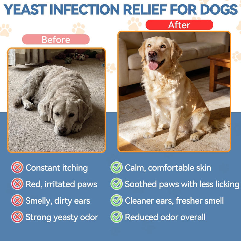 Carmelie Natural Yeast Relief for Dogs, Support Healthy Itch Relief, Ear Paw Discomfort Care, Itch Relief for Dog, Allergy Supports, Inflammation Relief for Dogs, 60ml Bacon Flavor 1PC
