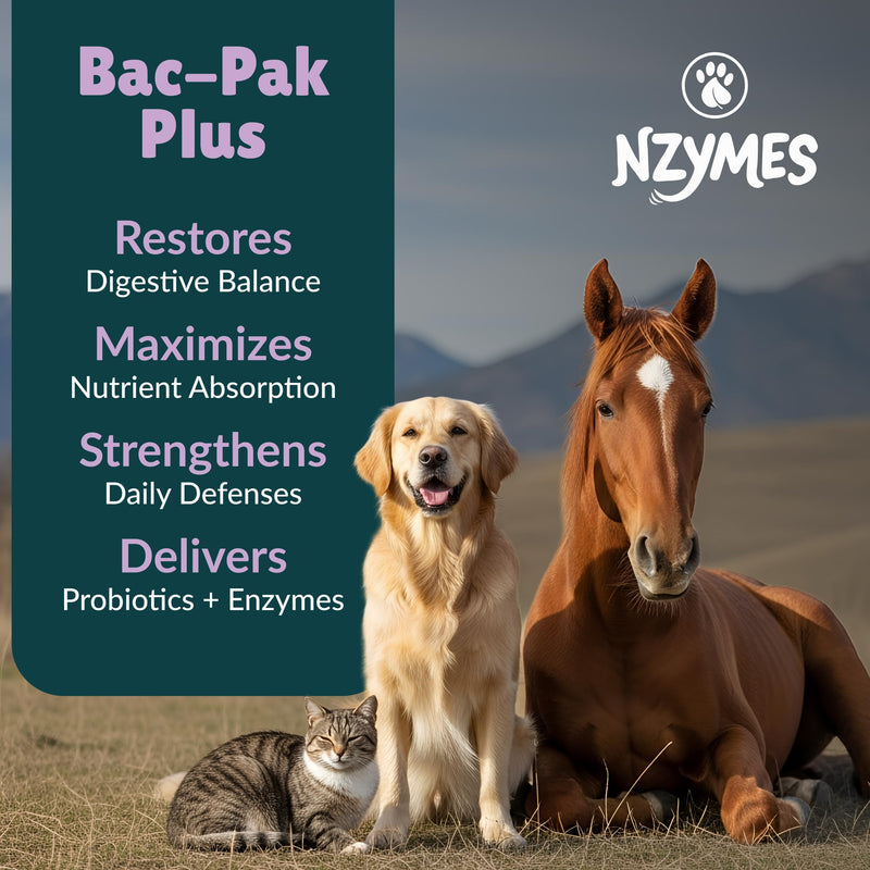 Nzymes® Bac-Pak Plus 100 Grams Digestive Enzymes and Probiotics for Digestion, Loose Stools, Diarrhea, Constipation, Improved Nutrient Uptake - Made in The USA 100 grams (Approx. 200 Servings)