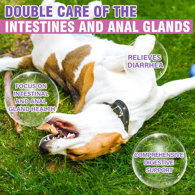 Dog Anal Gland Soft Chews 150 Stop Scoot for Dogs Supports Anal Gland Bowel Function Digestive Health Fiber Pumpkin Supplement for Dogs Pet Diarrhea Bowel Support Probiotics Digestive (Chicken Flavor) Chicken - BeesActive Australia