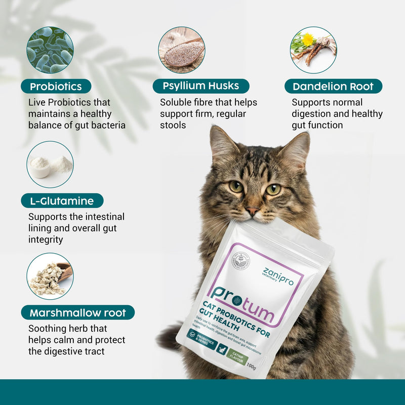 Cat Probiotic Powder 100g – Digestive Care & Gut Health Support for Cats & Kittens, Probiotics for Cats with L-Glutamine & Herbs, Daily Cat Digestive Support | Catnip