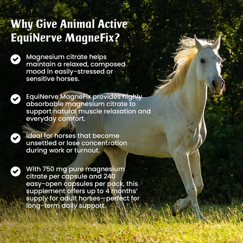 EquiNerve MagneFix for Horses | 240 Easy-Open Capsules - 4 Months Supply | Magnesium Citrate Horse Calmer, Mood, Muscle Tension & Comfort and Post-Excercise Recovery | Made in the UK