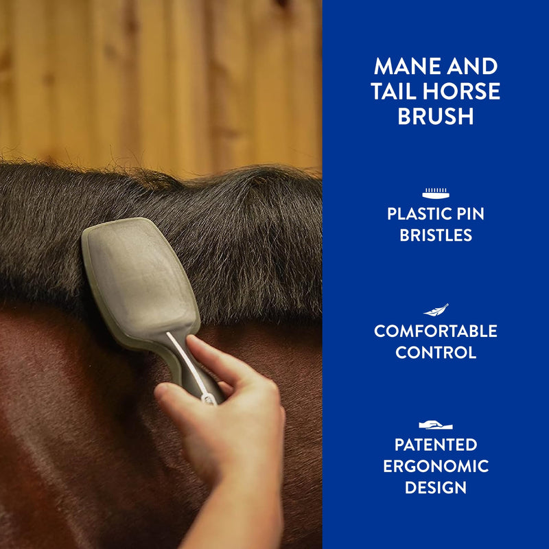 WAHL Professional Animal Equine Grooming Tool - Mane & Tail Brush (#858709-100) for Horses - Black - BeesActive Australia