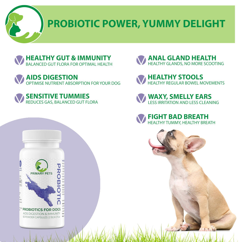 Primary Pets Premium Pet Supplies – Probiotics for Dogs with Prebiotics, 60 Powder Capsules, Supports Gut Health, Digestion and Immunity, Dog Probiotic Supplements for Gut Health 60 Capsules Round Bottle