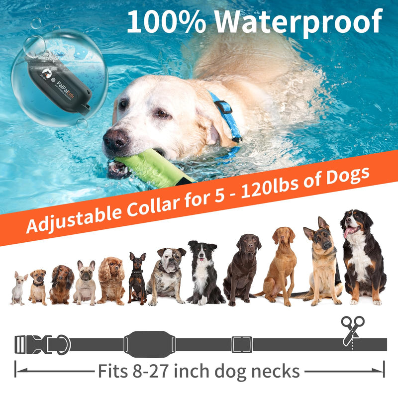 PaiPaitek No Shock Dog Training Collar with Remote 3300ft Range, Strong Vibrating Dog Collar Beep and Vibration Only, Waterproof Vibration Collar for Small Medium Large Dogs (5-120 lbs) - No Prongs Blue - BeesActive Australia