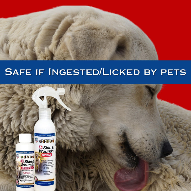 Show Out Skin & Wounds Spray for Dogs — Helps Control Dog Mange & Itchy Skin | Natural Relief for Hot Spots, Ringworm & Dermatitis | Gentle, Vet-Level Care (8 oz)