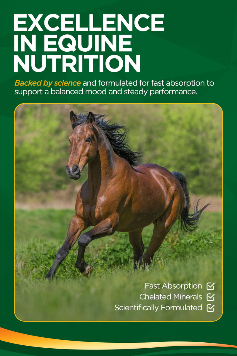 TRM Good as Gold Horse Paste, Tryptophan, Magnesium and B Vitamins, Supports Muscle Relaxation and Ride-Ready Focus, Horse Calming Supplement, Fast Acting Equine Calming Paste for Horses, 3 Pack FBM 3 qty x 35g