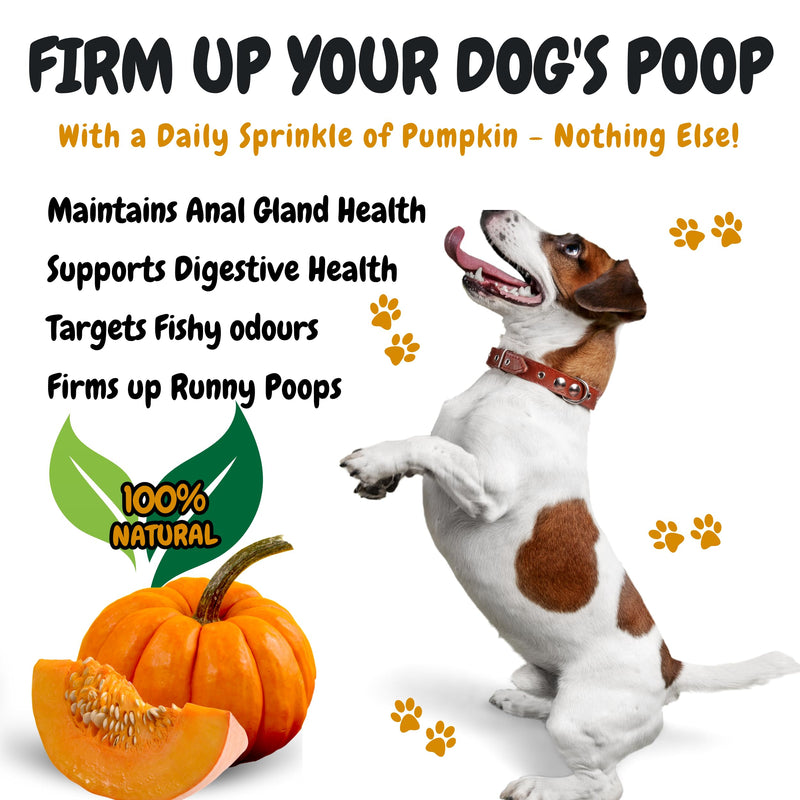 Bark & Bloom Pumpkin Powder for Dogs - Natural Fibre, Prebiotic Supplement & Gut Health Treat. Alternative to Puree, Canned Pumpkin for dogs, Ideal Natural Dog Treat and food topper stool firm