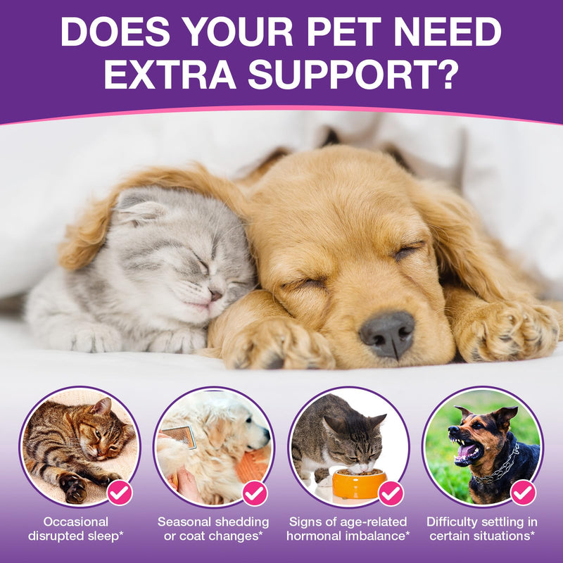 Pet Melatonin Drops 60ml for Dogs & Cats, Calming Liquid Supplement for Pets, Supports Relaxation & Healthy Sleep Cycles, Anxiety Relief for Travel, Fireworks & Stress, Easy Absorption Formula 1