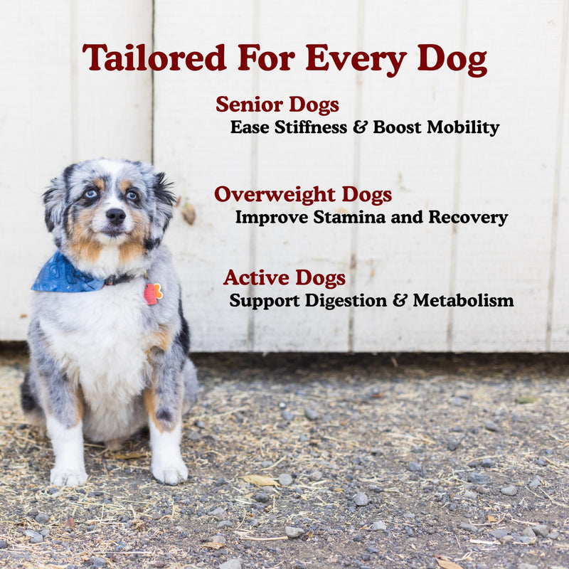 Rally Total Dog Health Supplement - Promotes Vitality for Senior Dogs - Chicken Flavored Soft Chews - Pet Dog Vitamins - Supports Joint Mobility, Healthy Gut, Overall Health - 30 Servings - Grrub Pet