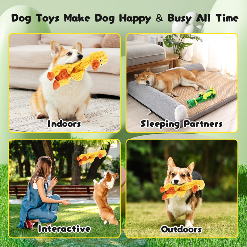 Dog Toy,Wowpetsmart Invincible Chewanimals,Suitable for Heavy Chewing Dogs Teething Toys,Suitable for Small Dogs,No Harm to Teeth(Frog) - BeesActive Australia