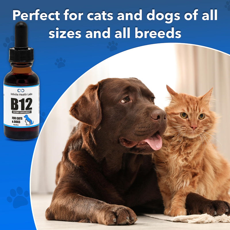Liquid Vitamin B-12 for Dogs and Cats - Vet Formulated - Effective for All Animals Methylcobalamin (Methyl B12) - Energy, Appetite and Mood - Made in USA - PawsPlanet Australia