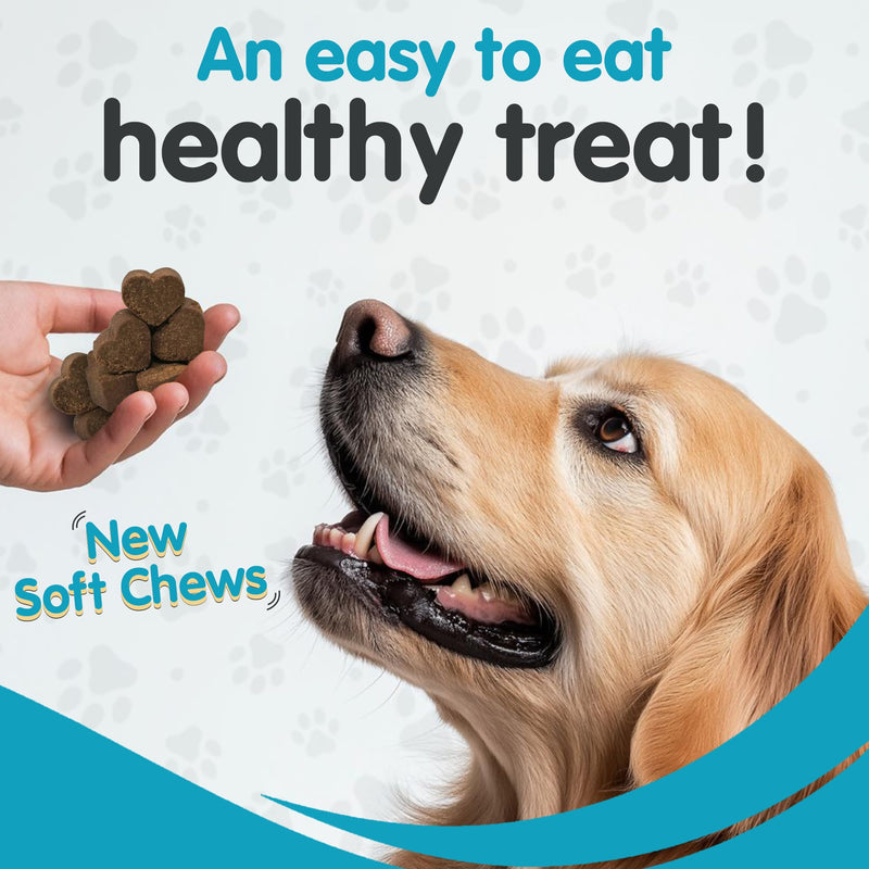 Milk Thistle + Same for Dogs Bundle - Ultimate Liver and Kidney Support Soft Chews