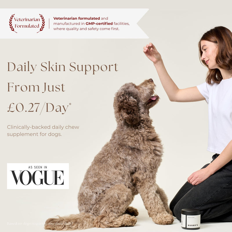 Rusko's Skin & Coat Supplement for Dogs | Soothes Itchy Skin, Restores Coat Condition & Supports Skin Barrier Health | Salmon Oil, Vitamin C & Vitamin E | 120 Soft Chews