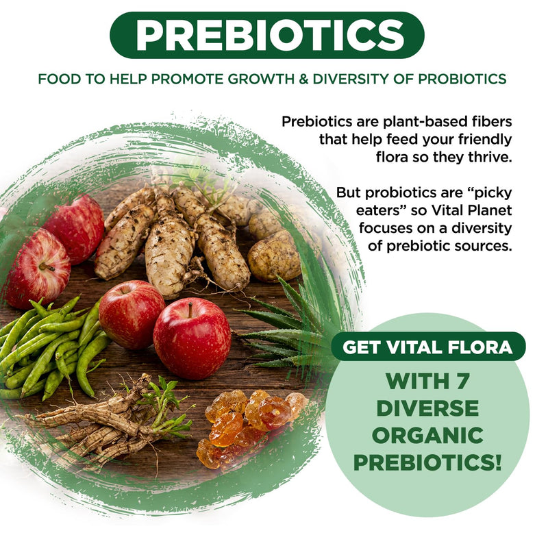 Vital Planet - Vital Flora Adults Over 55 Daily Probiotic 60 Billion CFU, Diverse Strains, Organic Prebiotics, Immune and Digestive Health Shelf Stable Probiotics for Women and Men, 30 Capsules