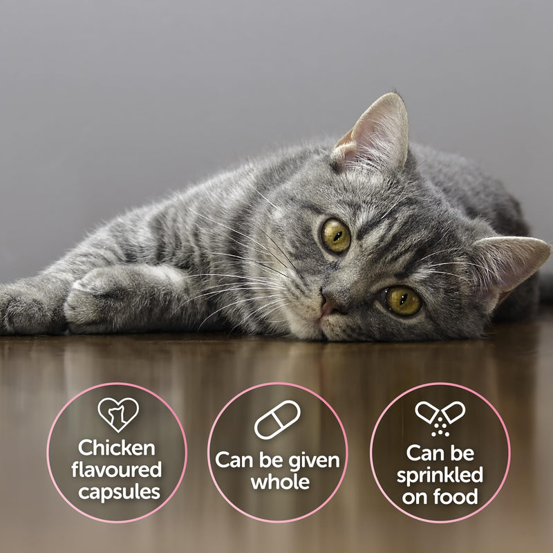 Cystophan for Cats, Urinary & Bladder Health Supplement with N-acetyl-D-glucosamine, Meat-Free Chicken Flavour Capsules, 30 Capsules 30 Count (Pack of 1)