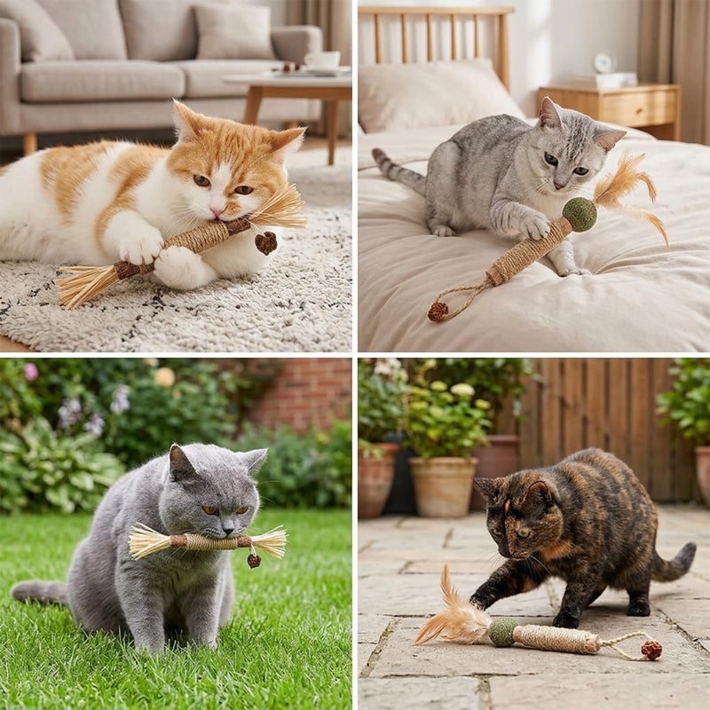 XZSKD 6pcs Silvervine Chew Sticks for Cats, Cat Dental Treats with Natural Silver Vine, Dental Care Solution for Indoor Cats, Six Chew Sticks for Teething Kittens and Adult Cats