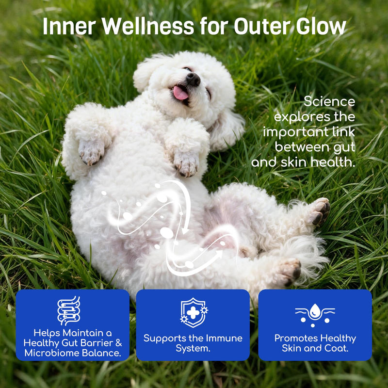 Probiotics for Dogs: 10B CFU Digestive Health Soft Chews with Prebiotics, Enzymes & Pumpkin - for Small & Large Dogs, Stool, Gut, Immune Support - Chicken, 180ct