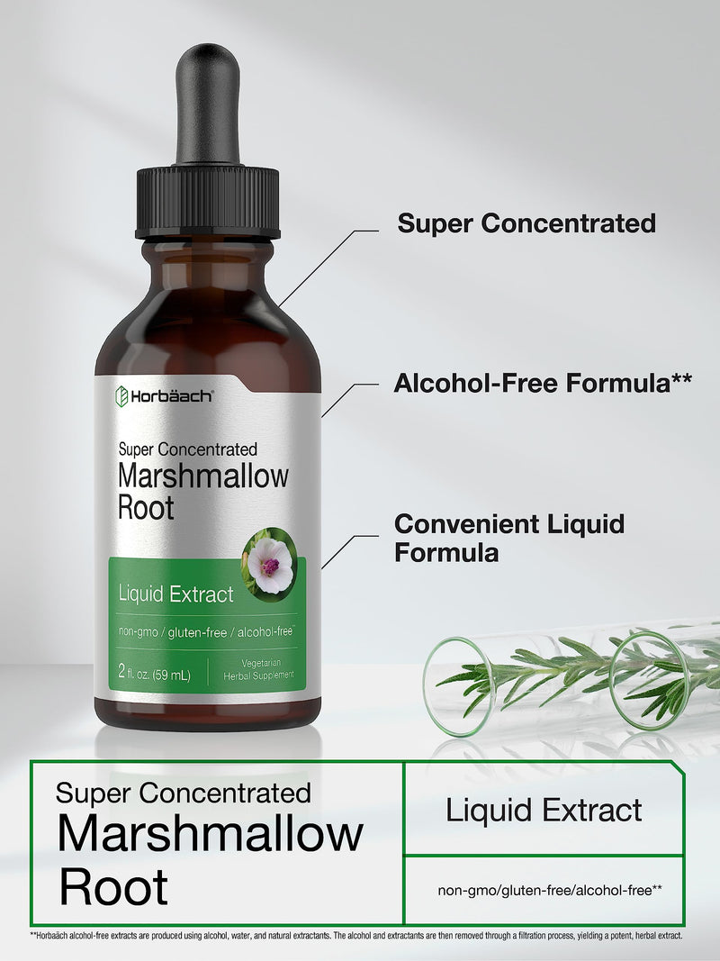 Horb√§ach Marshmallow Root Extract Tincture | 2 fl oz | Althaea Officinalis Liquid | Alcohol Free | Vegetarian, Non-GMO & Gluten Free