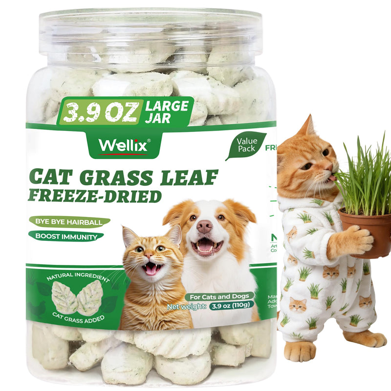 Wellix 3.9oz Leaf Crisps Freezed-Dried Cat Grass Treats - Healthy Cat Treats for Hairball Control & Teeth Cleaning Stick - Kittens Dental Chews and Training Snacks