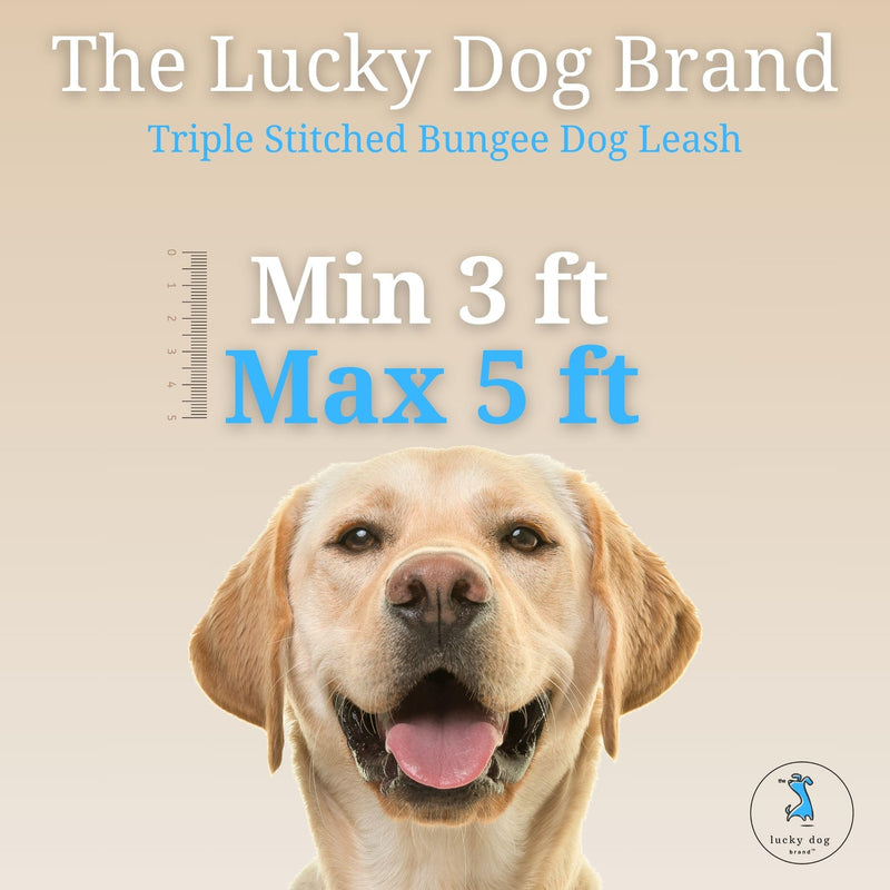 Lucky Dog Brand Bungee Dog Leash for Shock Absorption - Heavy Duty No Pull Training Leash for Medium & Large Dogs - 5FT with Triple Bungee, Khaki - BeesActive Australia