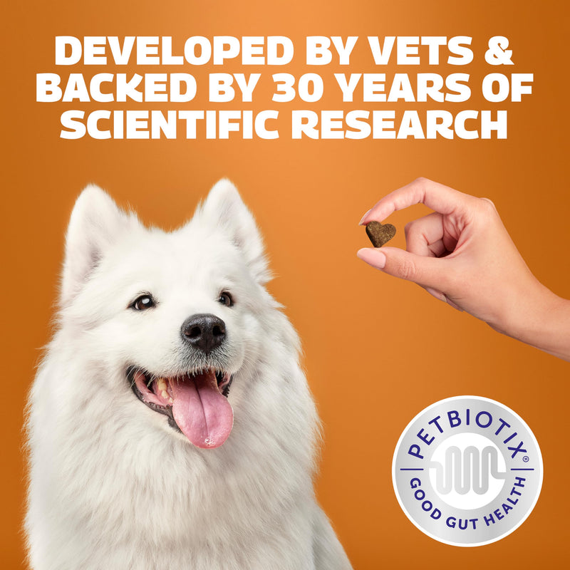 Protexin Daily Care Gut+ Wellbeing – Probiotic, Prebiotic & Postbiotic Chews for Dogs – Supports Gut Balance, Skin, Mobility & Immune Health – Duck & Carrot Flavour – 60 Soft Chews