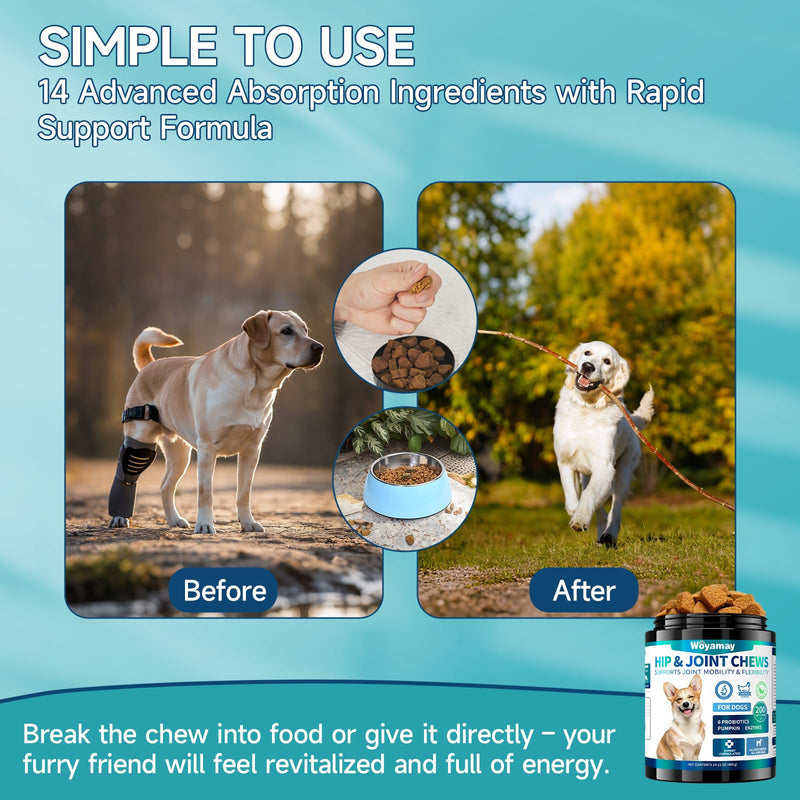 2-in-1 Dog Health Bundle: Allergy & Skin + Hip & Joint Chews (200 Each) - Glucosamine, Omega 3, Turmeric for Itch Relief & Joint Mobility, Chicken Flavor