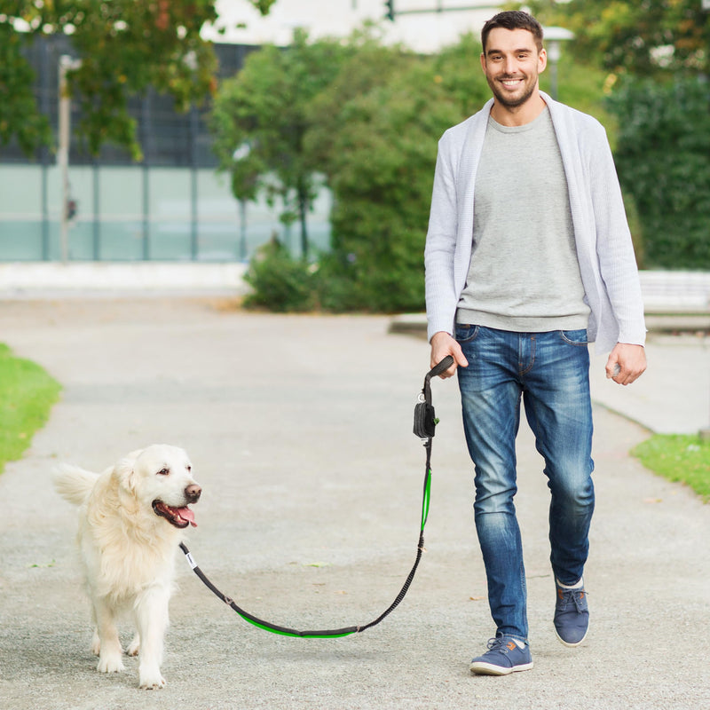 No Pull Dog Leash for Large Dogs – 6ft Highly Reflective Bungee, Heavy Duty Leash for Large Dogs, 4 Padded Handles, Strong Carabiner Clip & Rings, Includes Poop Bag Holder & Treat Pouch (Purple) Purple