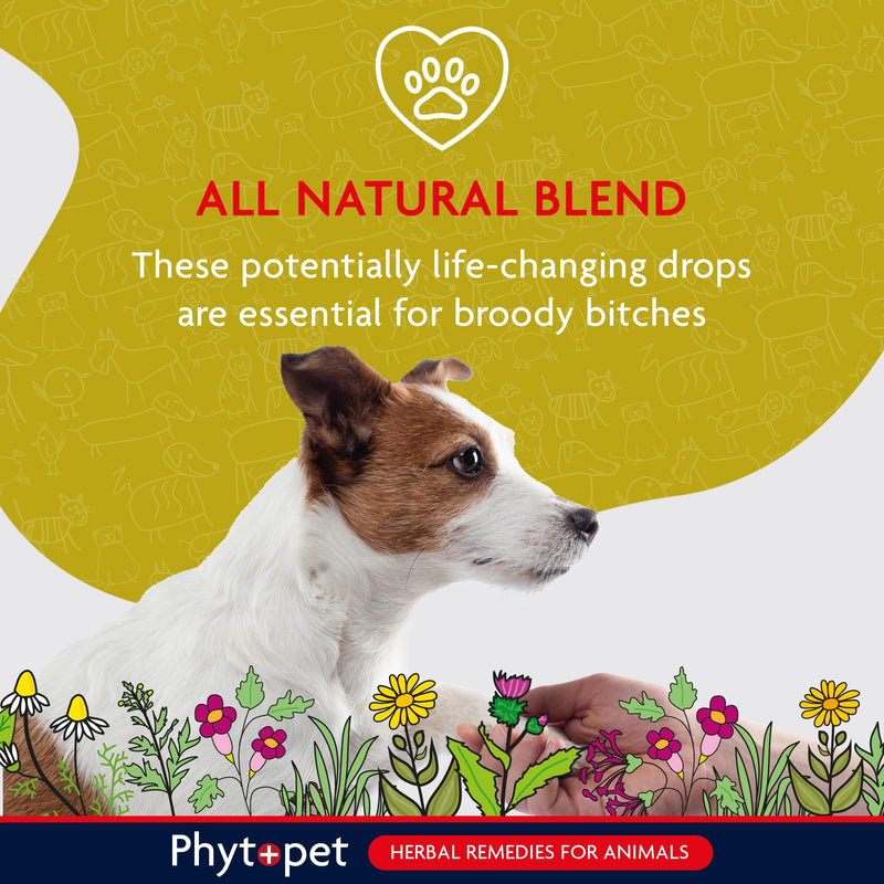 Phytopet Balance, All Natural Hormone Balance and Stability for Dogs and Cats, Easy to Use Herbal Supplements, 30ml - 100% Herbal Phytopet Pet Supplies