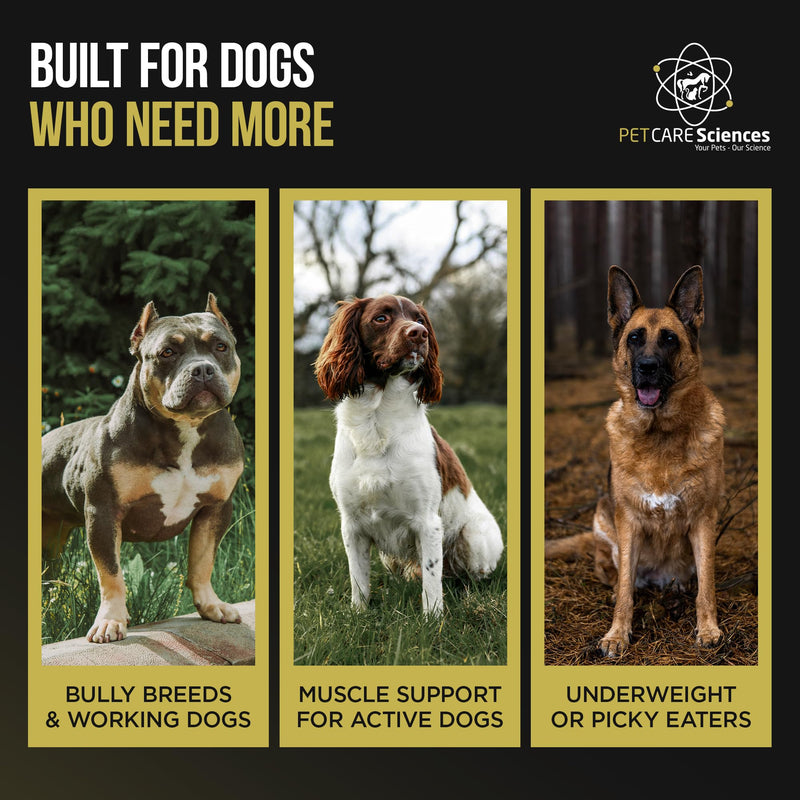 Dog Weight Gainer 30 Servings- Weight Gain Supplements for Dogs - Canine and Dog Muscle Builder - Made in The USA 30 Servings with Weight Gain Support