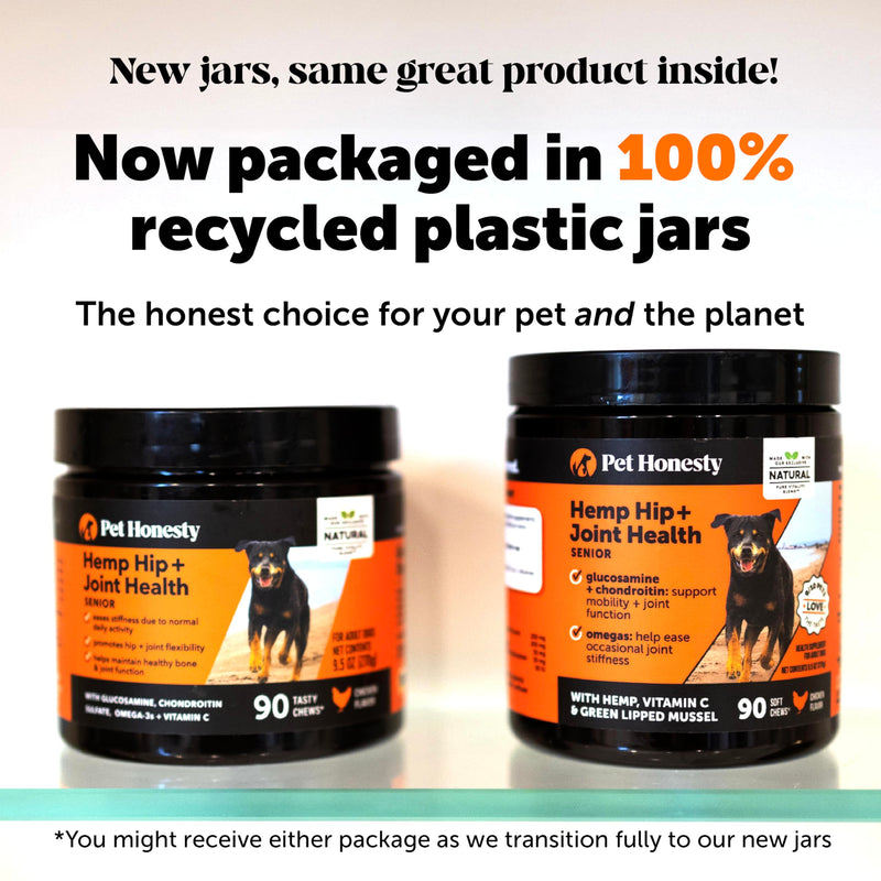 Dog Senior Joint & Multivitamin Virtual Bundle – Hemp Hip & Joint Chews (Chicken, 90 ct) + 10-in-1 Multivitamin Chews (Chicken, 90 ct)