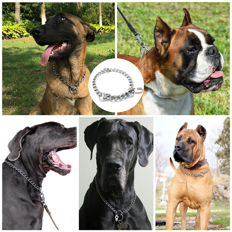 Chain collar dog, 65 cm dog collar chain, adjustable dog chain with secure buckle, dog chain for dog training, stainless steel dog necklace, dog collar made of metal, for dog walking - BeesActive Australia