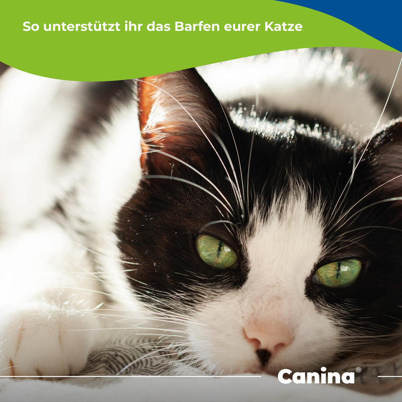 Canina Barfer's Best for Cats, 500 g - BeesActive Australia