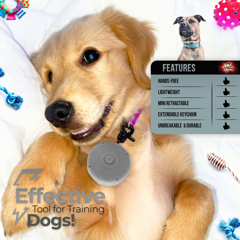 Mini Clip-On Power Leash Set – 2pc Heavy-Duty, Lightweight, Compact, Durable, Waterproof, Wearable, Adjustable Lead for Off-Leash Walking, Hiking, Training, Travel & Hands-Free Dog Control Gray+Bonus - BeesActive Australia